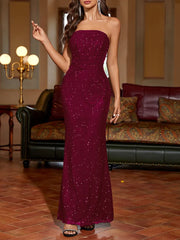 Salena Elegant Mesh Strapless Backless Maxi Dresss