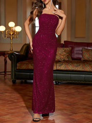Salena Elegant Mesh Strapless Backless Maxi Dresss