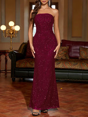 Salena Elegant Mesh Strapless Backless Maxi Dresss