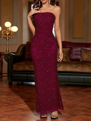 Salena Elegant Mesh Strapless Backless Maxi Dresss